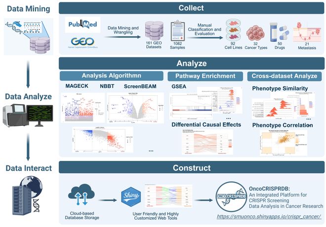 肿瘤CRISPRScreen在线平台!重磅推荐!(图3)